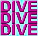 The experts at Dive Dive Dive